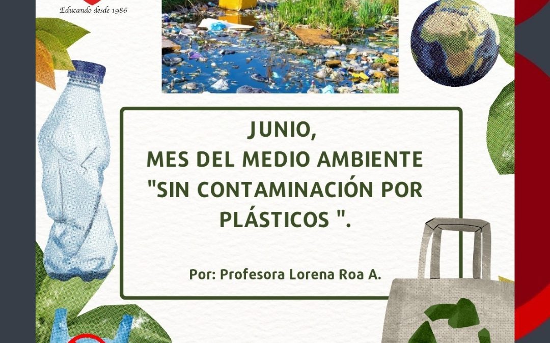 POR UN MUNDO SIN CONTAMINACIÓN POR PLÁSTICOS.