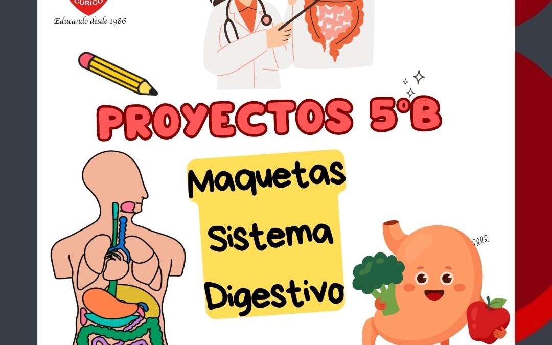 APRENDIENDO CÓMO FUNCIONA NUESTRO CUERPO