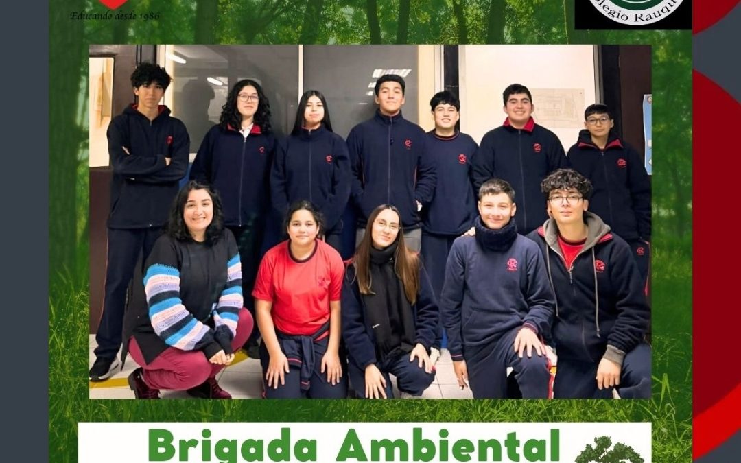 ALLER BRIGADA AMBIENTAL 🌳 ♻️