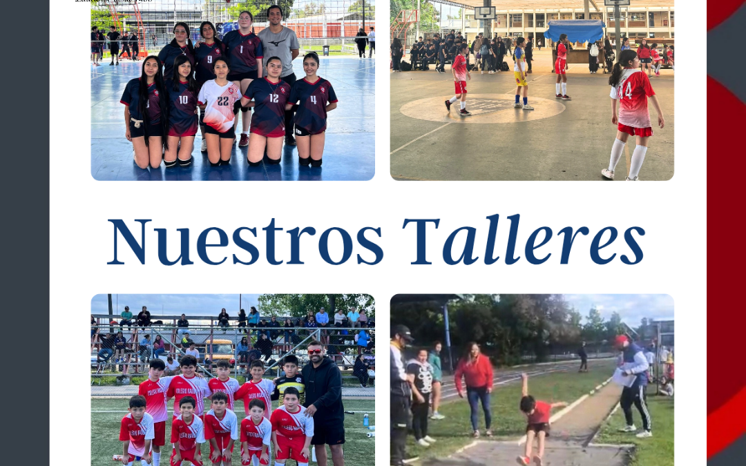 ACTIVIDADES TALLERES COLEGIO RAUQUÉN.